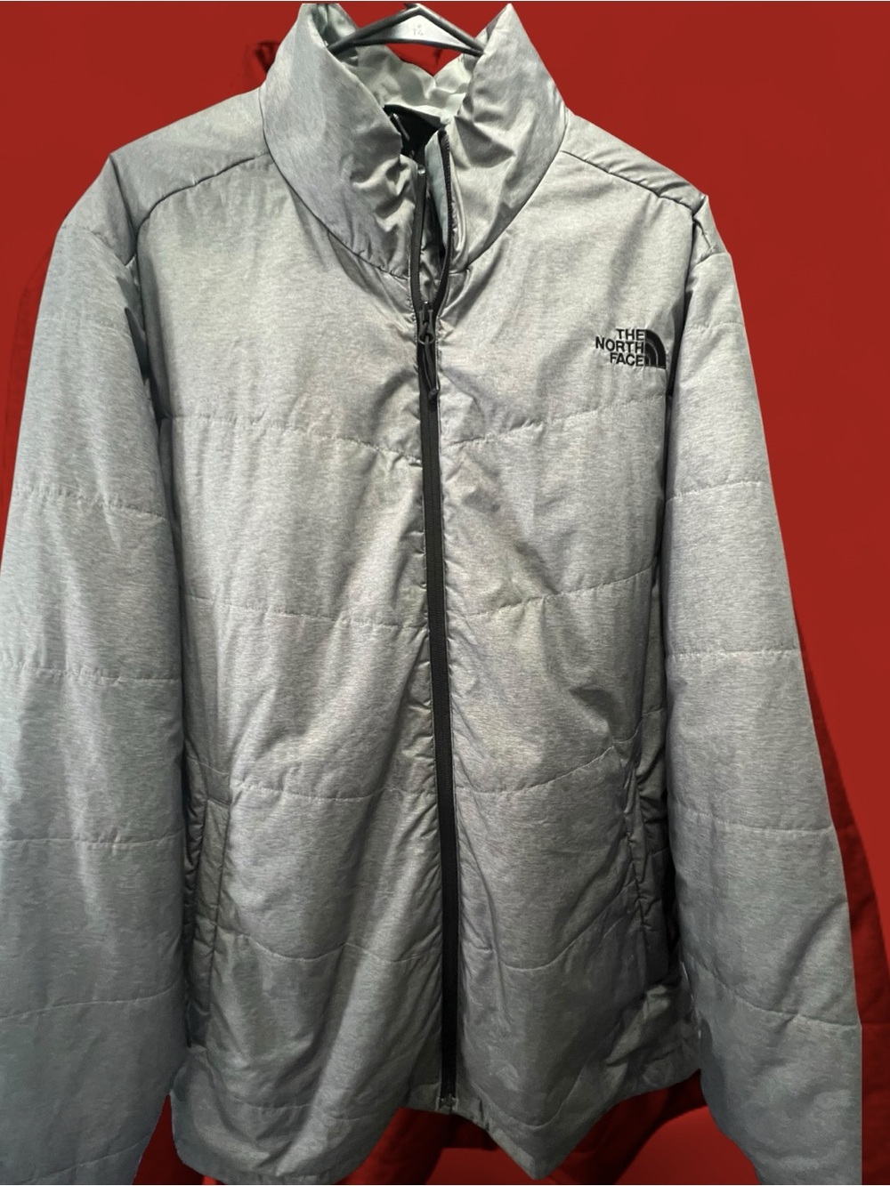 The North Face Men's Light Gray Puffer Jacket